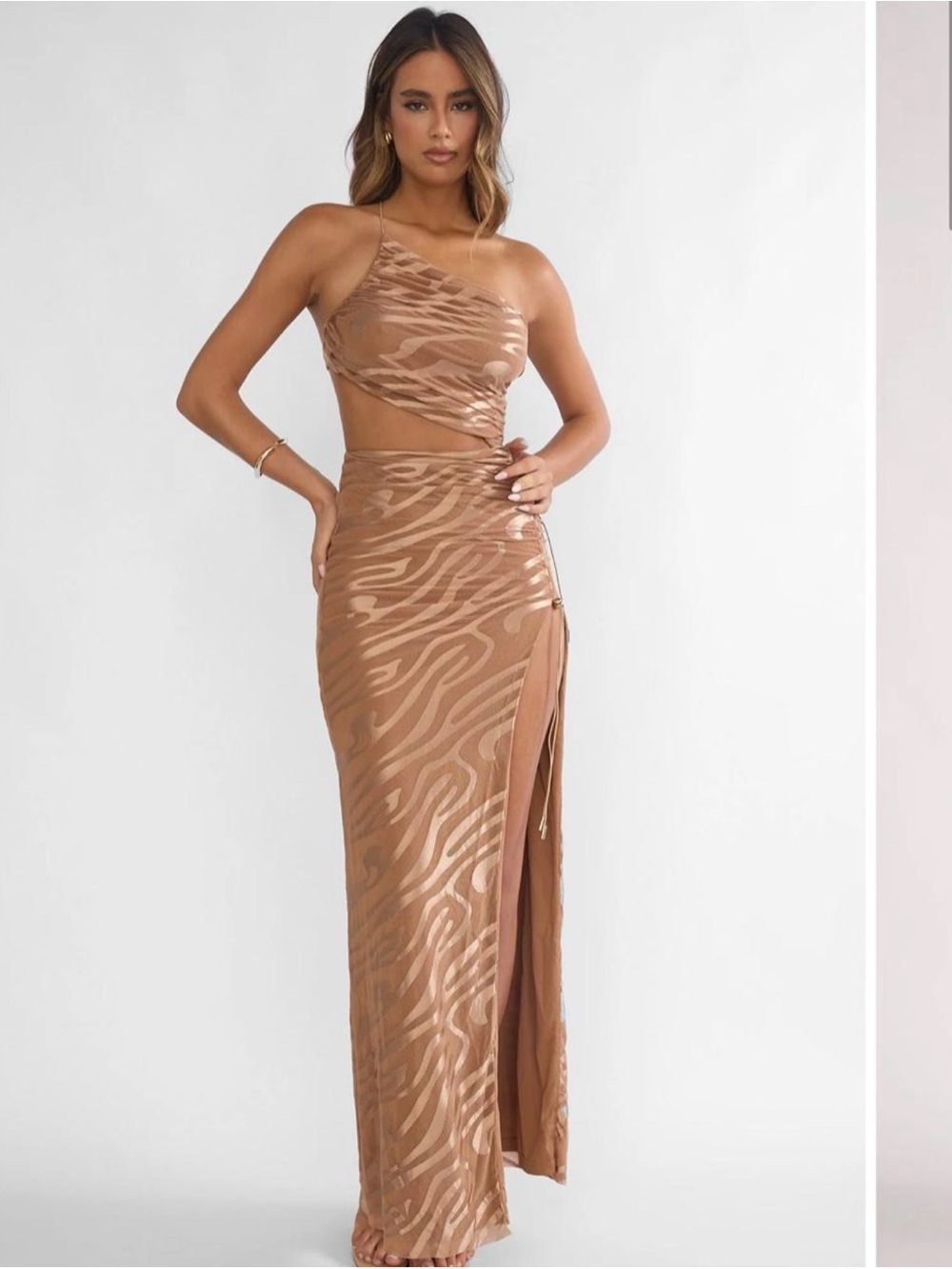 Selfie Leslie Dress